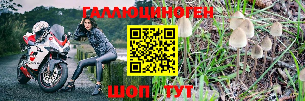 Галлюциногенные грибы Magic Shrooms Кудрово